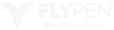 Flypen Gift